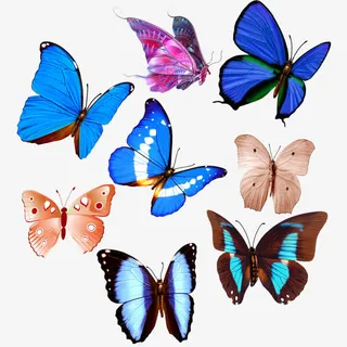 彩色蝴蝶png素材免抠
