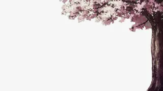 动漫樱花树免抠