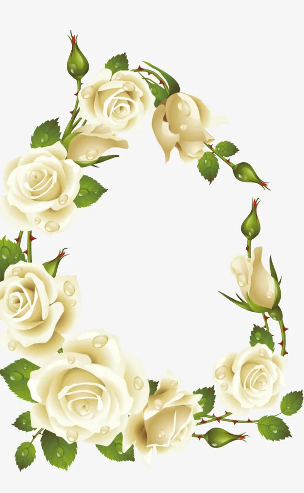 白玫瑰花边免抠