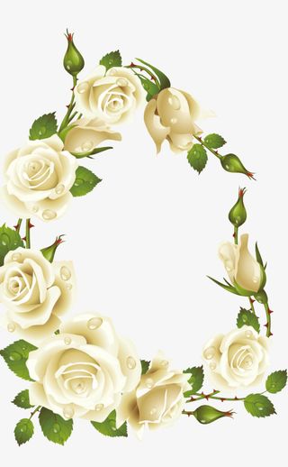 白玫瑰花边免抠