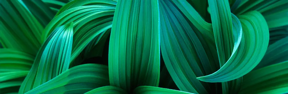 海报Banner背景图高清