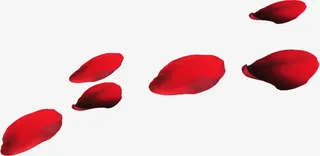 玫瑰漂浮物免抠