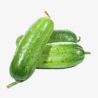新鲜生态黄瓜免抠