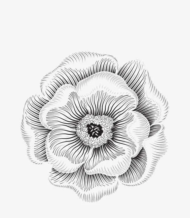黑色鲜花免抠