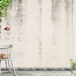 清新文艺女装淘宝主图背景高清