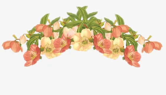 手绘花簇免抠