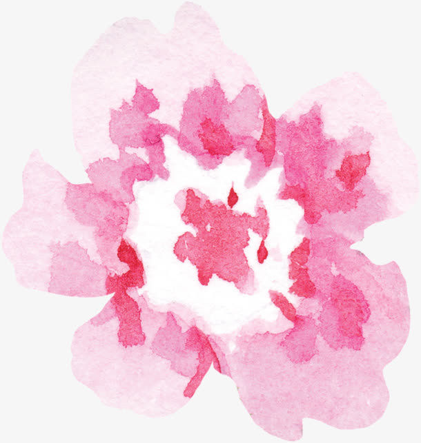 渐变色花瓣茶花PNG素材免抠