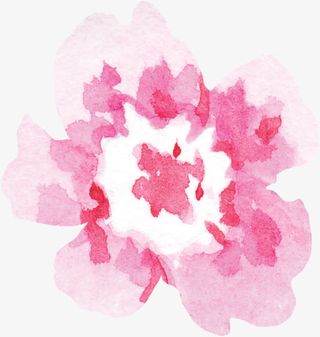 渐变色花瓣茶花PNG素材免抠