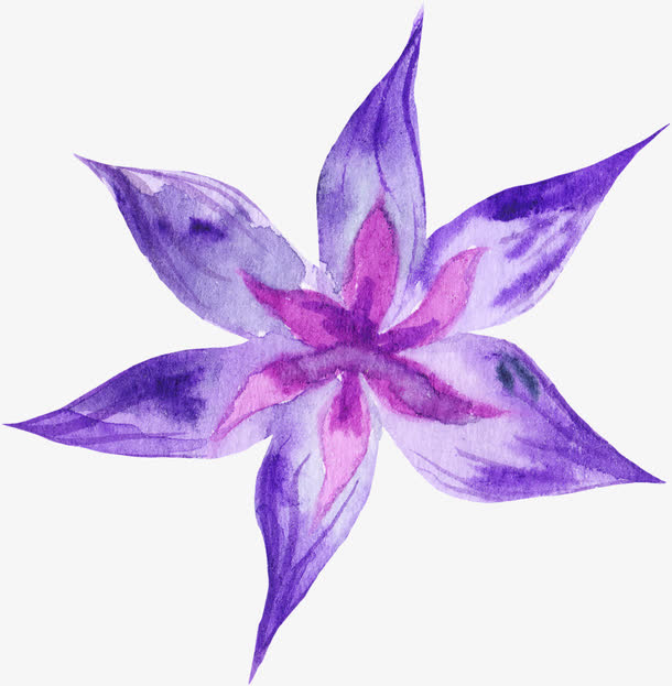 一朵紫色美丽花朵免抠