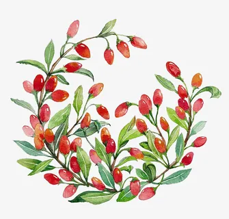 手绘红色枸杞免抠