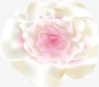 精美春天白色山茶免抠