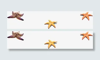 高清海报效果海星免抠