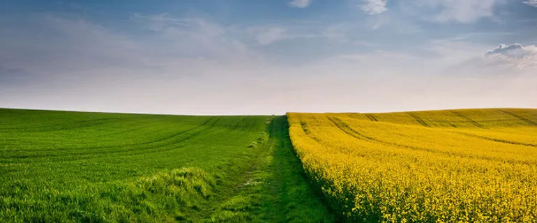 淘宝海报背景高清