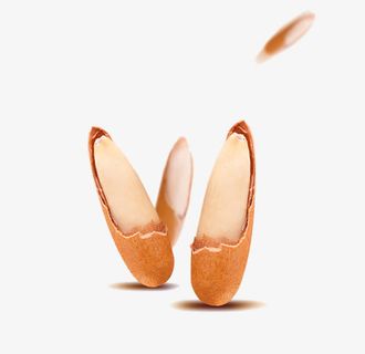 高清巴西松子特写免抠