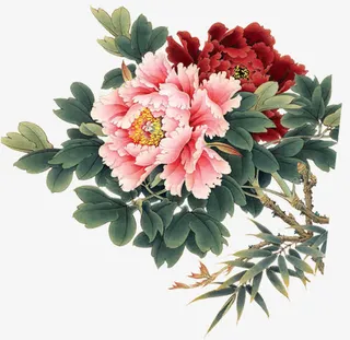 油墨画中国风牡丹花免抠