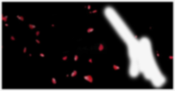 光点素材1，漂浮素材，png，元素2免抠