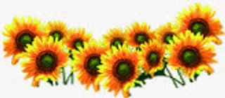 向日葵儿童计划免疫公开栏免抠