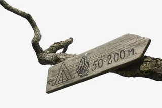 树干上的里程牌免抠