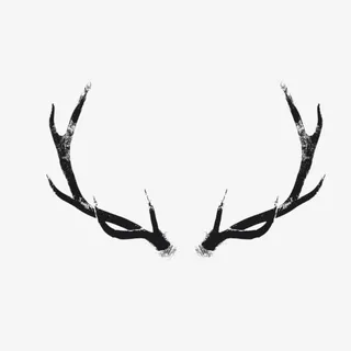麋鹿 鹿角  白底  黑色免抠