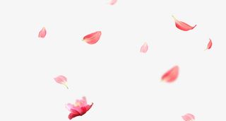 漂浮物PNG素材免抠