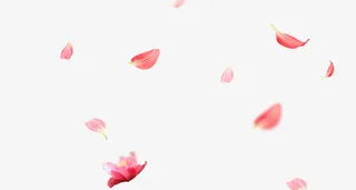 漂浮物PNG素材免抠