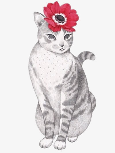 小猫咪头戴大红花免抠