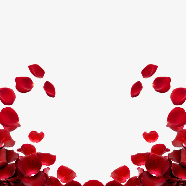情人节花瓣装饰边框设计免抠漂浮花瓣元素