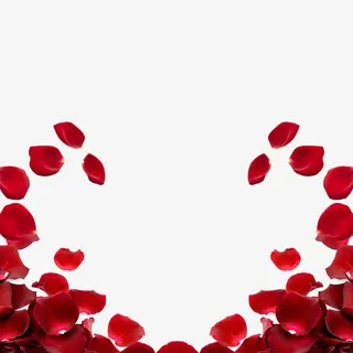 情人节花瓣装饰边框设计免抠漂浮花瓣元素