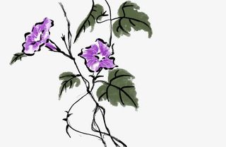 水墨牵牛花免抠