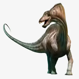 阿马加龙属灭绝生物实物免抠