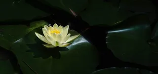 淘宝背景图高清