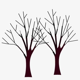 简约大方黑色树枝免抠