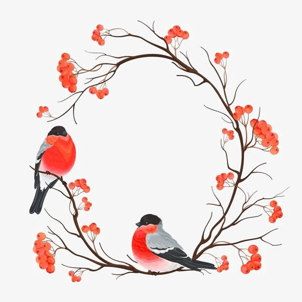花鸟花纹免抠