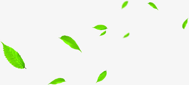 绿色清爽树叶春天免抠