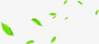 绿色清爽树叶春天免抠