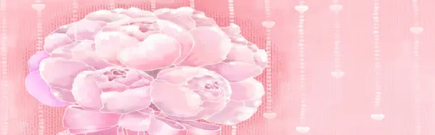 花瓣背景图