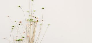 碎花一束花小花高清