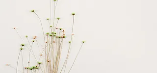 碎花一束花小花高清