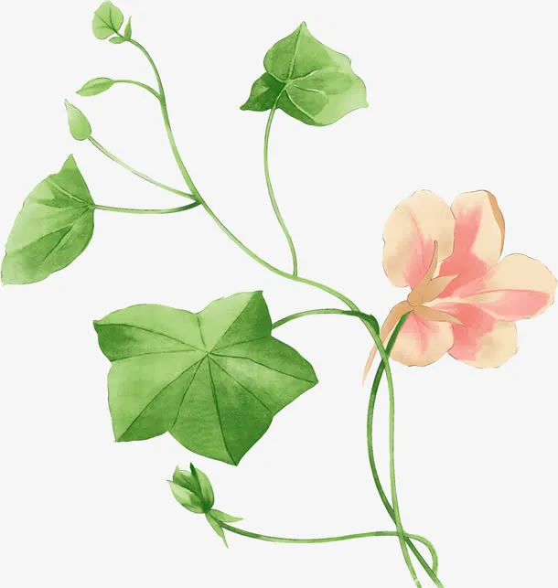 扁平风格合成手绘绿色的荷花荷叶免抠