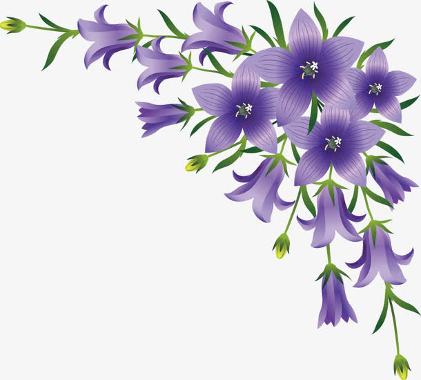 春暖花开免抠
