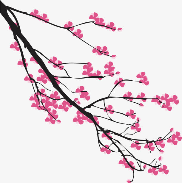 梅花免抠