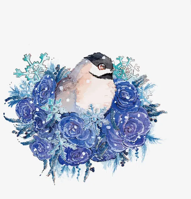 矢量鸟和雪免抠