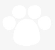 花纹图片纹理图片免抠