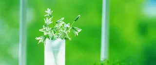 绿色清新背景高清