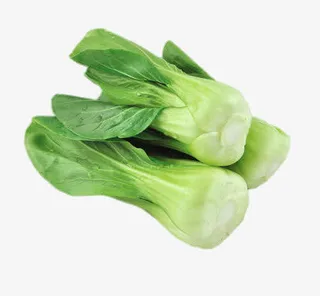 新鲜的上海青免抠