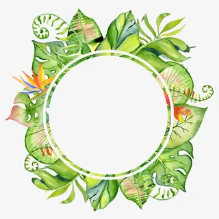 手绘叶子边框装饰免抠