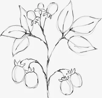 水墨花朵元素38免抠