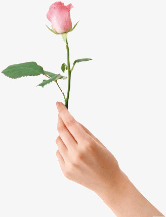 手拿玫瑰花免抠
