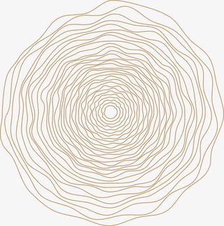 年轮线条矢量素材图免抠