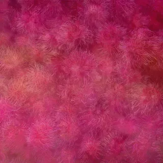 浪漫粉色花卉背景